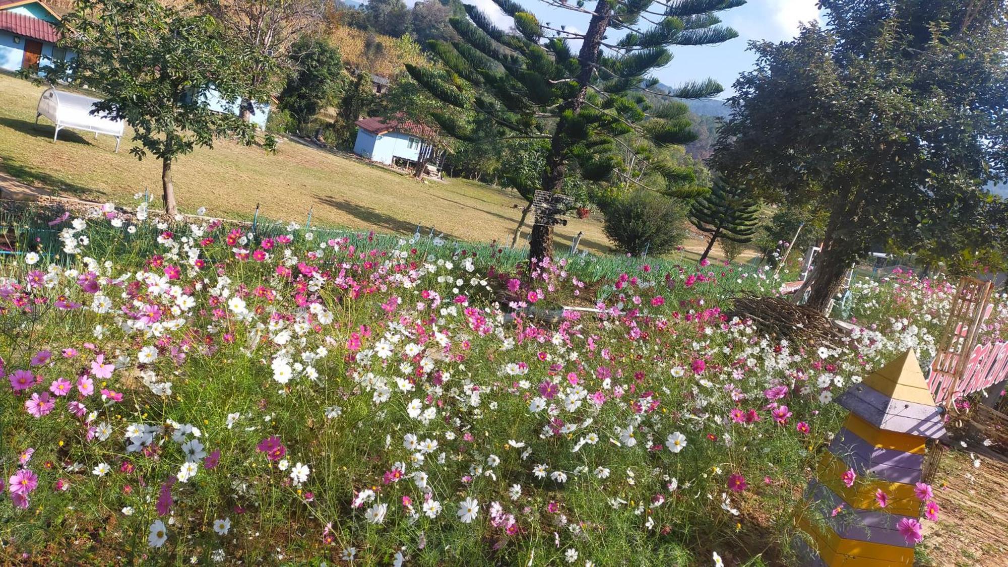 Mong Homestay Resort Pang Ung Eksteriør bilde