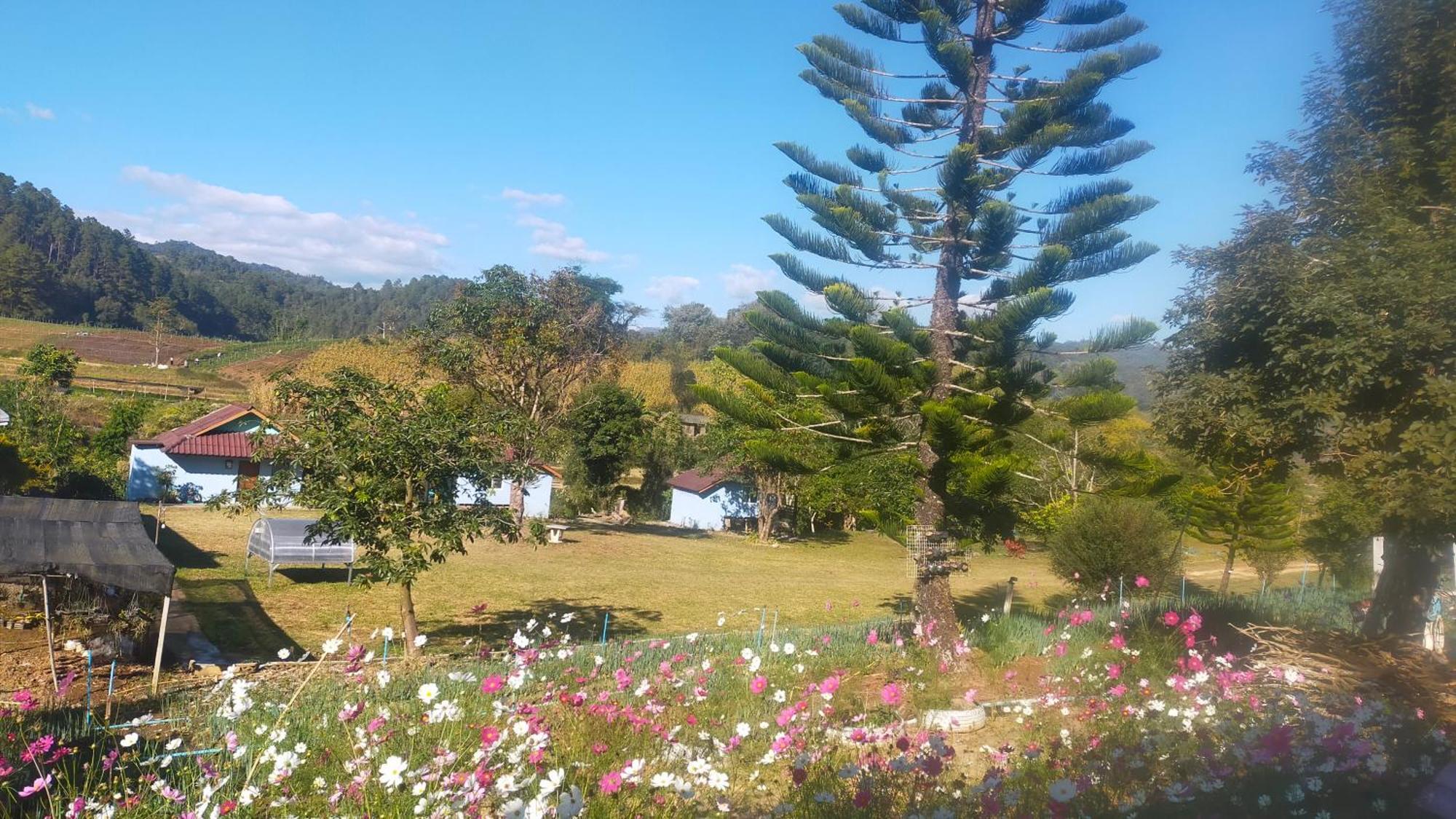 Mong Homestay Resort Pang Ung Eksteriør bilde
