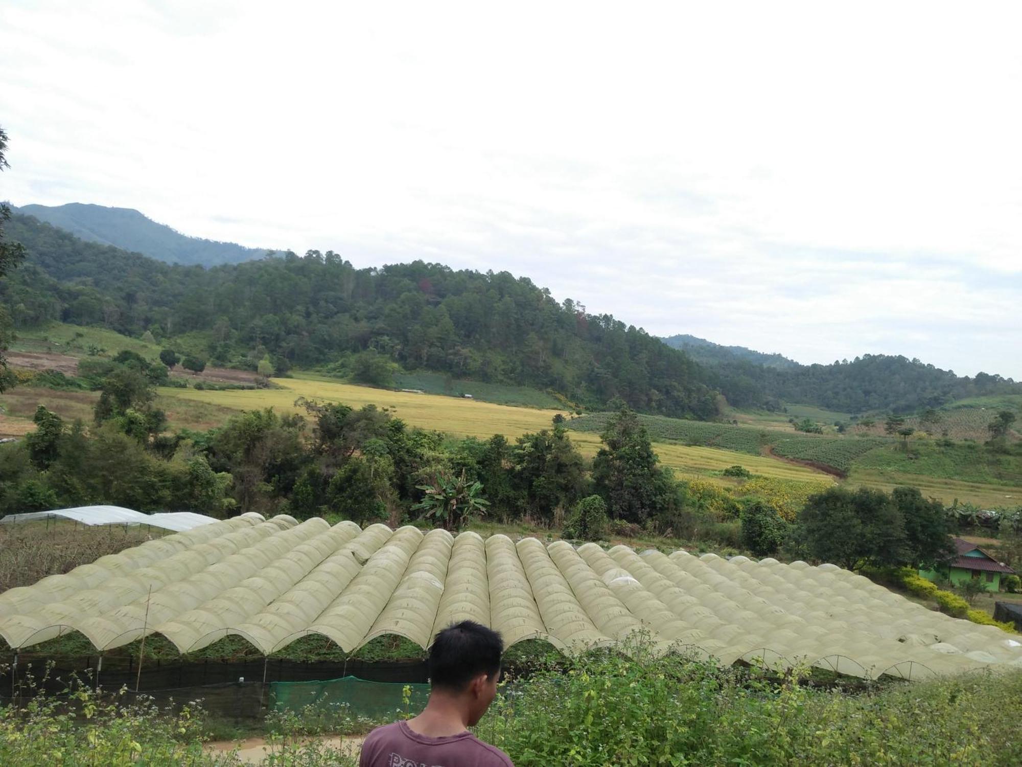 Mong Homestay Resort Pang Ung Eksteriør bilde