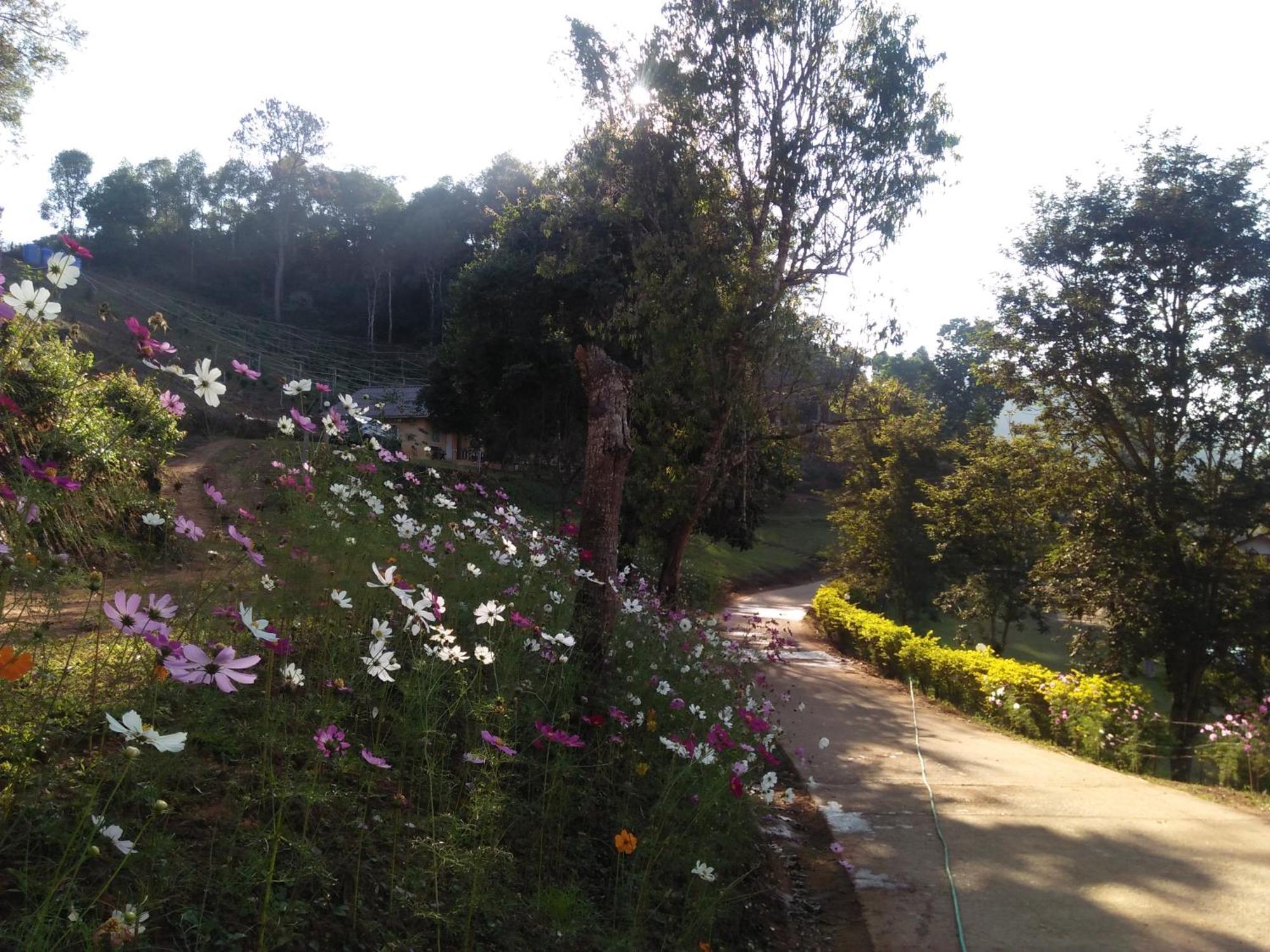 Mong Homestay Resort Pang Ung Eksteriør bilde